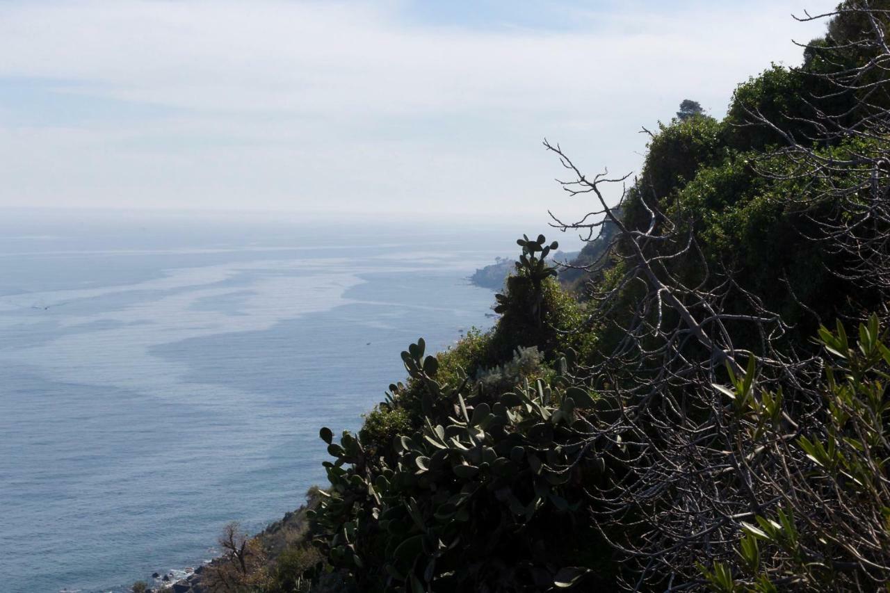 Le Casette Nel Borgo Otel Acireale Dış mekan fotoğraf